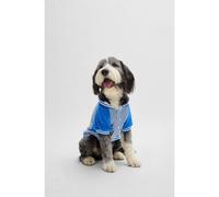 BOSS Dog bomber jacket with embroidered logo - Style Dog Varsity Bomber, B4SDAJ001 Blue XXS