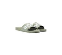Boss Aryeh 01 Slides