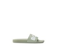 Boss Aryeh 01 Slides