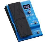 Boss XS-100 Poly Shifter