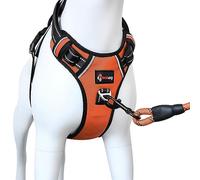 Bossdog No Pull Dog Harness and Lead Set | Anti Pull Harness for Small, Medium, Large and Puppy Dogs | Features Sturdy Top Handle and Reflective Strips (Extra Small, Orange)