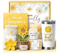 Bosses Day Gifts for Women Her, Cool Boss Lady Gifts for Women Female, Funny Thank You Birthday Christmas Bosses Appreciation Gift Set, Best Office Farewell Leaving Going Away Retirement Gift for Boss