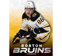 Boston Bruins (NHL Teams)