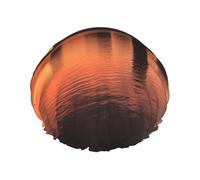 Boston Charles River City Skyline Sunset Shower Cap for Women Double Layers Thick Hair Caps Reusable Waterproof Bath Caps with Elastic Band Hair Hat Washable Shower Hat for Men Women Spa Salon