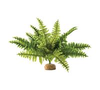 Boston fern decoration kit Exo Terra