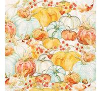 Boston International C028900 IHR 20-Count 3-Ply Cocktail Beverage Paper Napkins, 5 x 5-Inches, Watercolor Pumpkins
