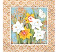 Boston International C768500 20 Count Paper Cocktail Napkins, Pretty Spring