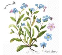 Boston International Cocktail Napkins Disposable 3-Ply Paper Party Napkin Pack, 5" x 5", Wild Violets, 20-Count