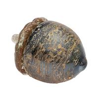 Boston International Glass Pumpkin Tabletop Shelf Décor Autumn & Fall Decorations, Small, Umber Grain Acorn