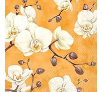 Boston International IHR 3-Ply Paper Napkins, 20-Count Cocktail Size, Benita Orange