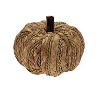 Boston International Pumpkin Décor Autumn & Fall Decorations, Small, Woven Wicker
