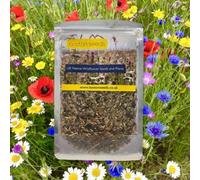 Boston Seeds Cornfield Annual Wildflower Seed Bs9P 100% (50 G)