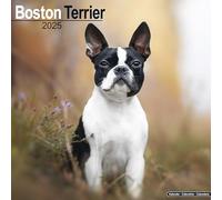 Boston Terrier Calendar 2025 Dog Breed Gift Wall Calendar 15% OFF MULTI ORDERS