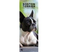 Boston Terrier 2026 Wall Calendar, 12-Month Slim Format, Made in England