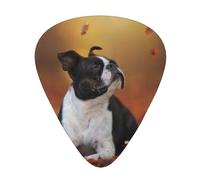 Boston Terrier Autumn Bokeh Dogs Dogs,12 Pcs Guitar Pick,3 Different Thickness Plectrums for Acoustic Guitar Bass Ukulele (0.46mm 0.96mm 0.71mm)