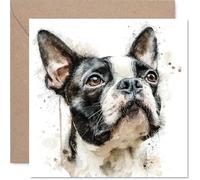 Boston Terrier Birthday Card for Men Women - Dog Breeds - Happy Birthday Card for Wife Grandma Nan Neighbour, 145mm Bday Greeting Cards