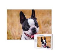 Boston Terrier Bokeh Dogs Pets Boston Terrier,300 Pieces Wooden Jigsaw Family Game Jigsaw Puzzles for Adults Teens Home Decor