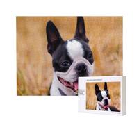 Boston Terrier Bokeh Dogs Pets Boston Terrier,500 Pieces Wooden Jigsaw Family Game Jigsaw Puzzles for Adults Teens Home Decor