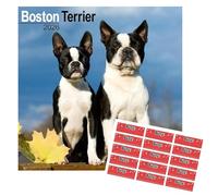 Boston Terrier Calendar 2026 | 16 months | with FREE Organisational Stickers, Boston Terrier Gift