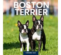Boston Terrier Calendar 2027: Dog Portraits and Everyday Scenes