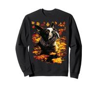 Boston Terrier Dog Cozy Fall Leaves Forest Autumn Aesthetic Sweatshirt