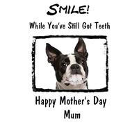 Boston Terrier Dog Happy Mother's Day card Teeth Humour chmd45 A5 Personalised Greetings