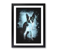 Boston Terrier Dog Paint Splash Modern Framed Print | A2 Black Framed Wall Art | Ready to Hang | Modern Animal Picture | Living Room Bedroom Lounge Office