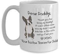 Boston Terrier Gift, Dear Daddy, Funny Dog Dad, Bite Him in The Nuts, 11oz Coffee, Tea, Ceramic Mug.