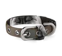 Boston Terrier Pet Collar Easy Snap on Buckle Adjustable Collar with 5 Hole Positions Training Collar for Large Medium and Small Pets,Pet Supplies,Stuff,Accessories