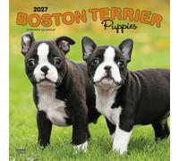 Boston Terrier Puppies 2027 Square Flap