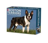 Boston Terriers 2025 Box