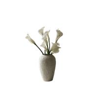 Botané Calla Lily Bouquet White