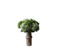 Botané Hydrangea Bouquet Green