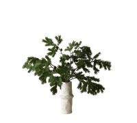 Botané Nordic Pine Bouquet Green