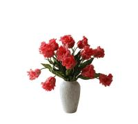 Botané Parrot Tulips Bouquet Red