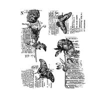 Botanic College Clear Stamp for Card Making, Scrapbooking and Mixed Media