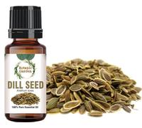 Botanic Garden Dill Seed Essential Oil (Anethum Sowa) 100% Pure and Natural (10ml (0.33814))