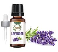 Botanic Garden Lavender Essential Oil - 100% Pure and Natural - Premium Therapeutic Grade with Premium Glass Dropper (10 ml (0.33814))