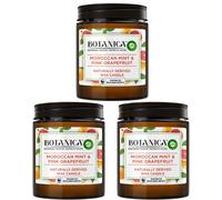 Botanica by Air Wick Wax Candle Mint & Pink Grapefruit 205g (Set Of 3)