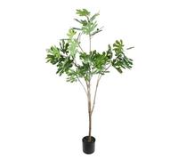 Botanica Fig Tree In Pot 160Cm - Green