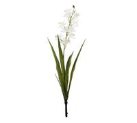 Botanica Mini Cymbidium Plant 45Cm - White Artificial Flower
