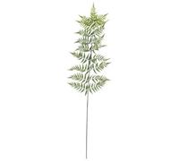 Botanica Tree Fern Leaf 178Cm - Green Artificial Leaves