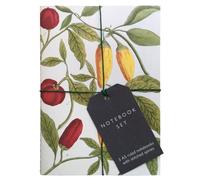 Botanical Art Notebook Set : 3 A5 ruled notebooks with stitched spines