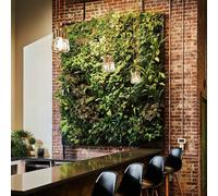 Botanical Boys Frameless Living Wall System Bb