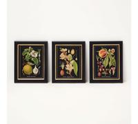 Botanical Fruit Wall Art, 20 x 25cm, Set of 3