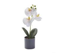 Botanical Potted Ornament Featuring Orchid Form for Spatial Softening in Angular Modern Architecture and Furniture Layouts (White)