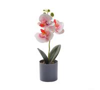 Botanical Potted Ornament Featuring Orchid Form for Spatial Softening in Angular Modern Architecture and Furniture Layouts (Shallow powder)
