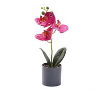 Botanical Potted Ornament Featuring Orchid Form for Spatial Softening in Angular Modern Architecture and Furniture Layouts (Purple)