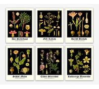 Botanical Prints Wall Art Poster - Flower Blossom Botanical Poster Gift Ideas Set of 6 - Black Wall Art Nature Inspired Illustration Poster - Vintage Room Decor Cottage Room (5 x 7)