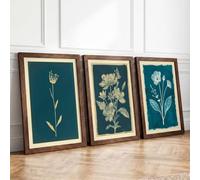 Botanical Specimens Botanical Set of 3 Framed Wall Art Prints A1